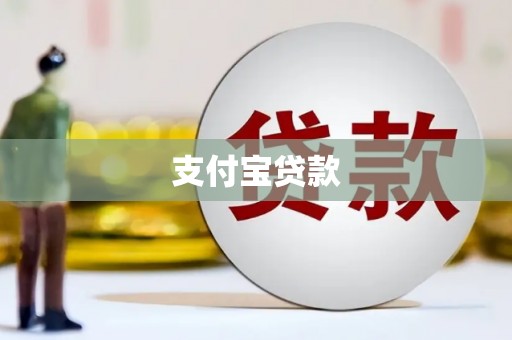 定兴支付宝贷款
