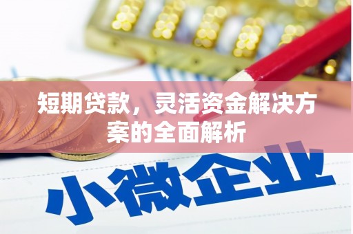 定兴短期贷款，灵活资金解决方案的全面解析