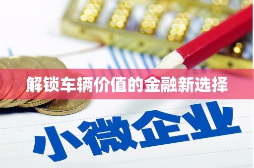 定兴解锁车辆价值的金融新选择
