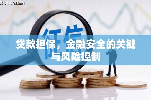 定兴贷款担保，金融安全的关键与风险控制