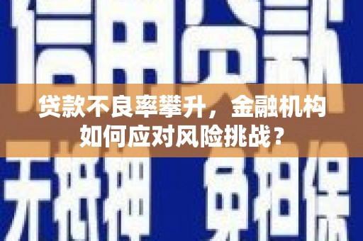 定兴贷款不良率攀升，金融机构如何应对风险挑战？