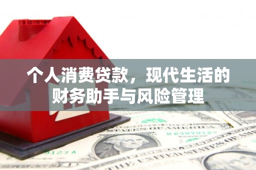 定兴个人消费贷款，现代生活的财务助手与风险管理