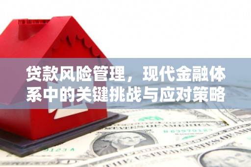 定兴贷款风险管理，现代金融体系中的关键挑战与应对策略