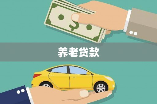 定兴养老贷款