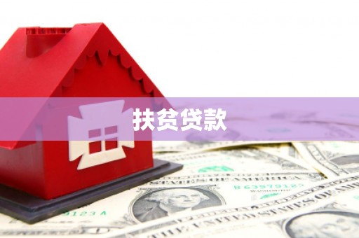 定兴扶贫贷款