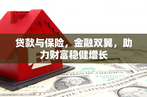 定兴贷款与保险，金融双翼，助力财富稳健增长