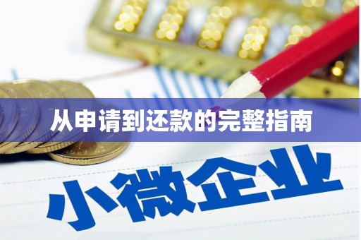 定兴从申请到还款的完整指南