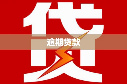 定兴逾期贷款
