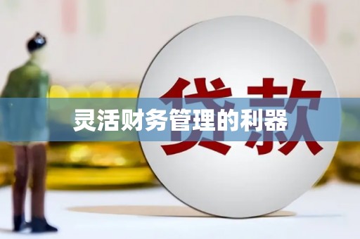 定兴灵活财务管理的利器