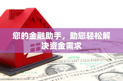 定兴您的金融助手，助您轻松解决资金需求