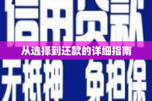 定兴从选择到还款的详细指南