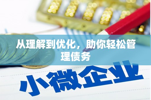 定兴从理解到优化，助你轻松管理债务