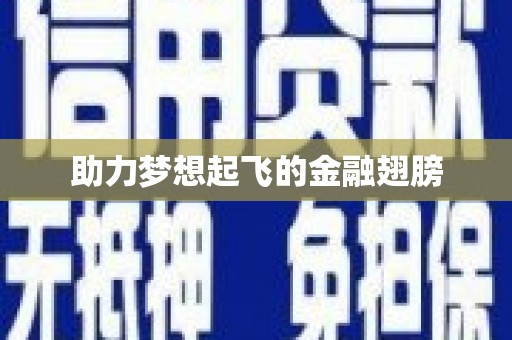 定兴助力梦想起飞的金融翅膀