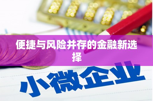 定兴便捷与风险并存的金融新选择