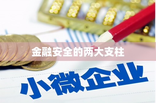 定兴金融安全的两大支柱