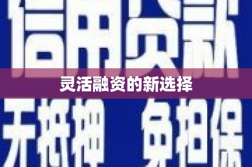 定兴灵活融资的新选择