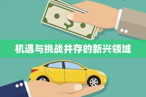 定兴机遇与挑战并存的新兴领域