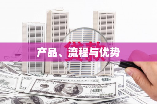 定兴产品、流程与优势