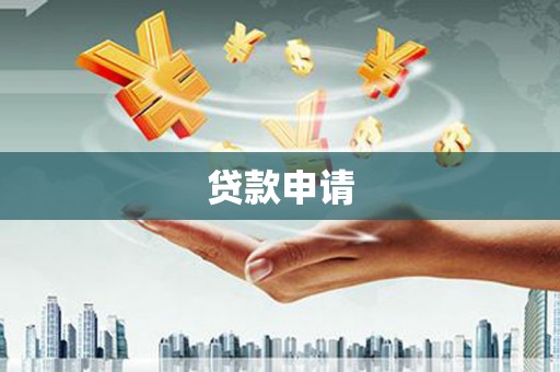 定兴贷款申请