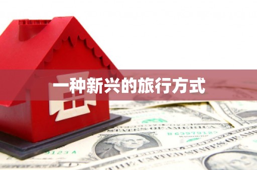 定兴一种新兴的旅行方式