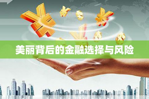 定兴美丽背后的金融选择与风险