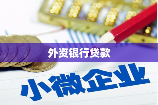 定兴外资银行贷款