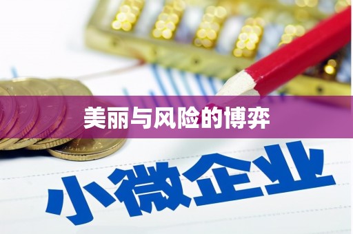 定兴美丽与风险的博弈