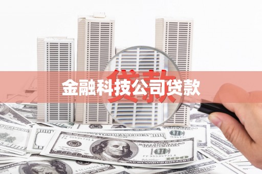 定兴金融科技公司贷款
