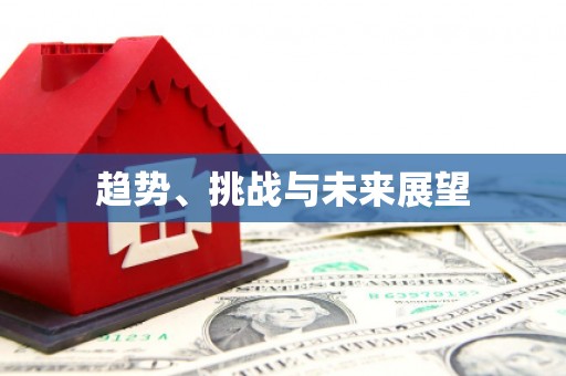 定兴趋势、挑战与未来展望