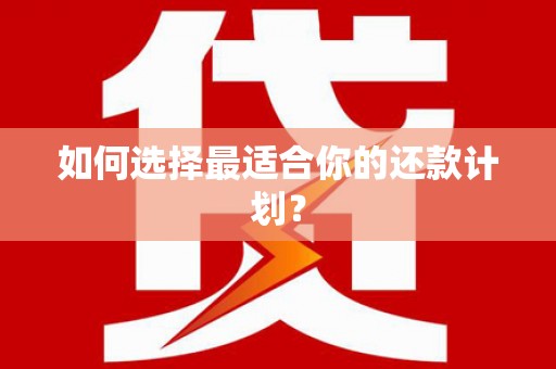 定兴如何选择最适合你的还款计划？
