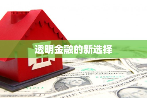 定兴透明金融的新选择