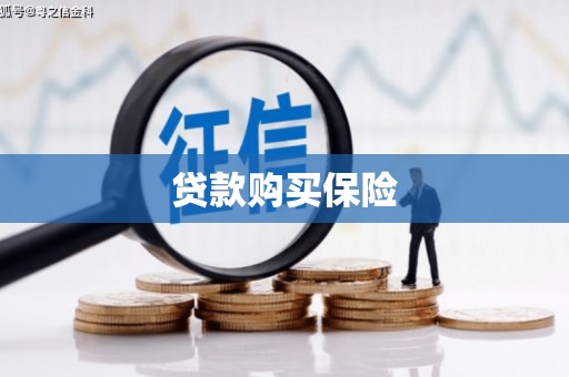 定兴贷款购买保险
