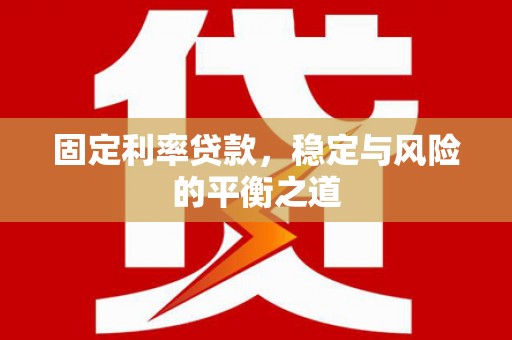 定兴固定利率贷款，稳定与风险的平衡之道