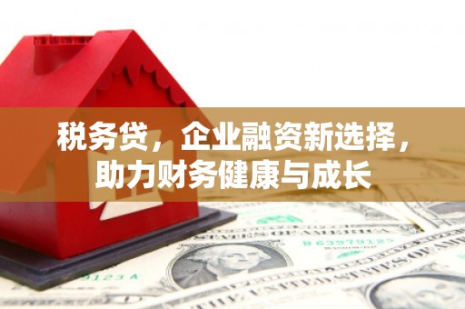 定兴税务贷，企业融资新选择，助力财务健康与成长