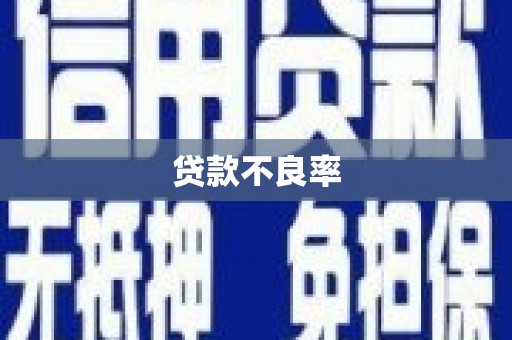 定兴贷款不良率