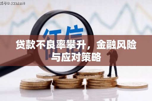 定兴贷款不良率攀升，金融风险与应对策略