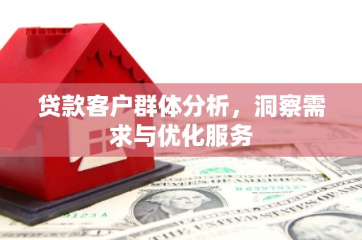 定兴贷款客户群体分析，洞察需求与优化服务